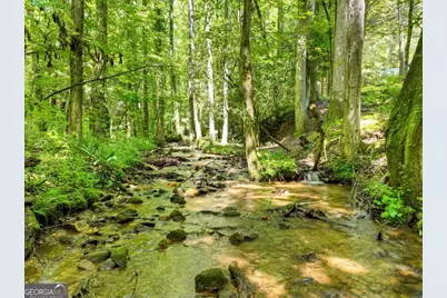 1048 Laurel Trail, Ellijay, GA 30536 - Photo 63