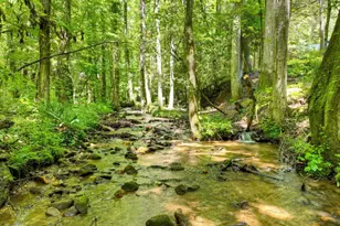 1048 Laurel Trail, Ellijay, GA 30536 - Photo 63