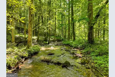 1048 Laurel Trail, Ellijay, GA 30536 - Photo 55