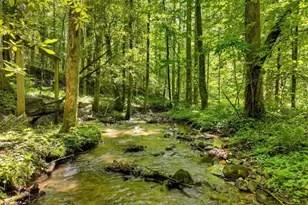 1048 Laurel Trail, Ellijay, GA 30536 - Photo 55