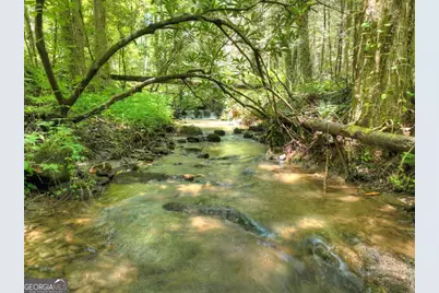 1048 Laurel Trail, Ellijay, GA 30536 - Photo 51