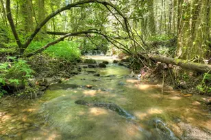 1048 Laurel Trail, Ellijay, GA 30536 - Photo 51