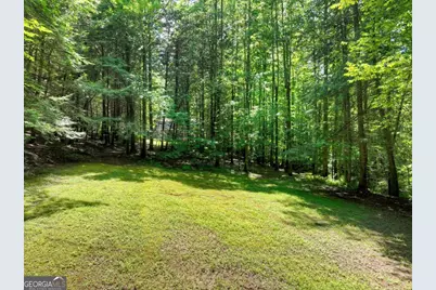 1048 Laurel Trail, Ellijay, GA 30536 - Photo 59