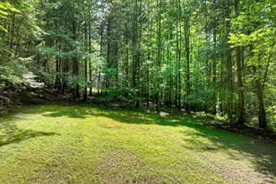 1048 Laurel Trail, Ellijay, GA 30536 - Photo 59