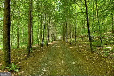 1048 Laurel Trail, Ellijay, GA 30536 - Photo 67