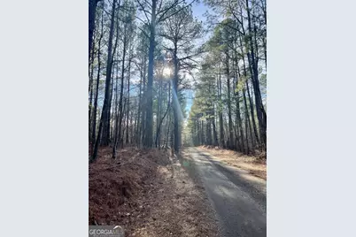 0 Padgett Road #LOT 8 FAYETTE PADGETT 14, Senoia, GA 30276 - Photo 3
