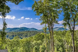 245 Mountain Retreat Dr, Morganton, GA 30560 - Photo 19