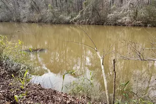 1918 Woodland Rd, Thomaston, GA 30286 - Photo 79