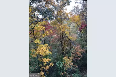 1918 Woodland Road, Thomaston, GA 30286 - Photo 81