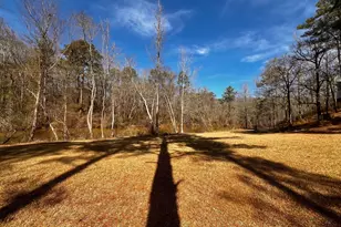 1918 Woodland Rd, Thomaston, GA 30286 - Photo 59