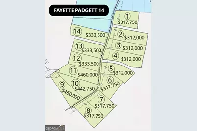 0 Padgett Road #LOT 9 FAYETTE PADGETT 14, Senoia, GA 30276 - Photo 9