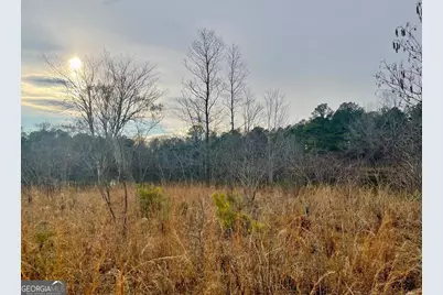 0 Padgett Road #LOT 9 FAYETTE PADGETT 14, Senoia, GA 30276 - Photo 7