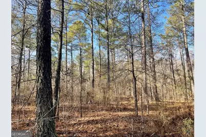 0 Padgett Road #LOT 9 FAYETTE PADGETT 14, Senoia, GA 30276 - Photo 3