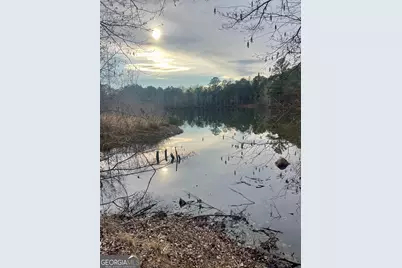 0 Padgett Road #LOT 10, Senoia, GA 30276 - Photo 1