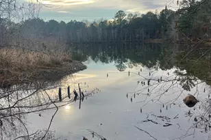 0 Padgett Rd, Senoia, GA 30276 - Photo 1