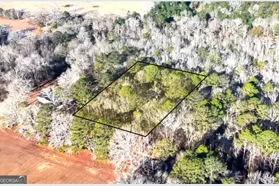 0 Byrd Hill Drive, Dudley, GA 31022 - Photo 5