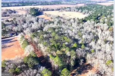 0 Byrd Hill Drive, Dudley, GA 31022 - Photo 3