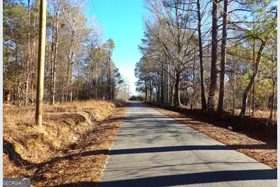 0 Byrd Hill Drive, Dudley, GA 31022 - Photo 7