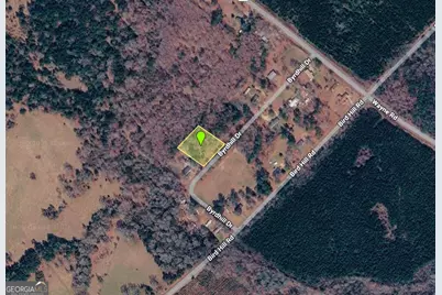 0 Byrd Hill Drive, Dudley, GA 31022 - Photo 9