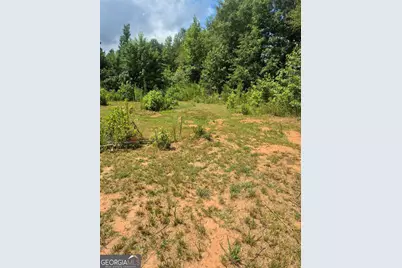 0 Newnan Road, Griffin, GA 30223 - Photo 3