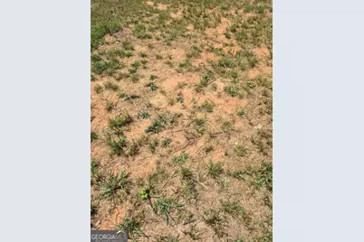 0 Newnan Road, Griffin, GA 30223 - Photo 5