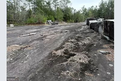 0 Veribest Road, Carlton, GA 30627 - Photo 5