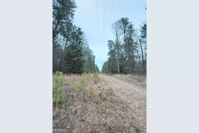 0 Veribest Road, Carlton, GA 30627 - Photo 3