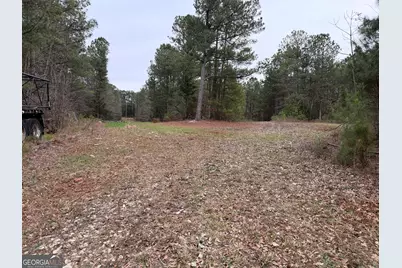 0 Veribest Road, Carlton, GA 30627 - Photo 7