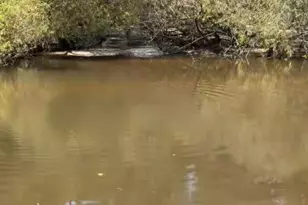 1564 Joy Bluff Rd, Reidsville, GA 30453 - Photo 21