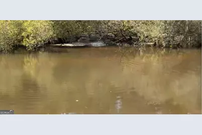 1564 Joy Bluff Road, Reidsville, GA 30453 - Photo 19