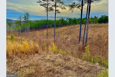 268 Highgrove Drive, Talking Rock, GA 30175 - Photo 17