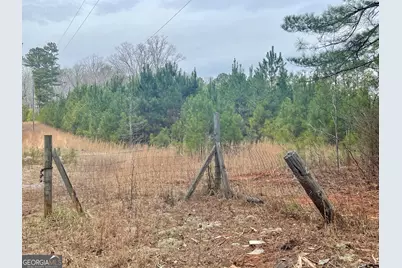 0 Padgett Road #LOT 13, Senoia, GA 30276 - Photo 1
