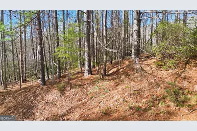 465 Yates Circle, Clarkesville, GA 30523 - Photo 3