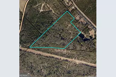 0 Lovely Grove Church Road, Eastman, GA 31023 - Photo 7
