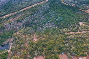 0 Lovely Grove Church Rd, Eastman, GA 31023 - Photo 1