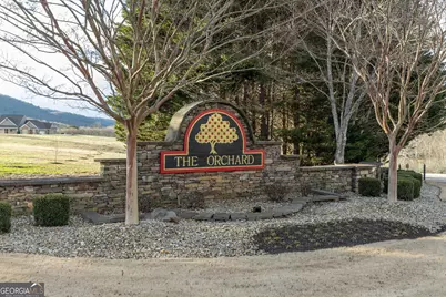 765 Plum Lane #LOT 765, Clarkesville, GA 30523 - Photo 29