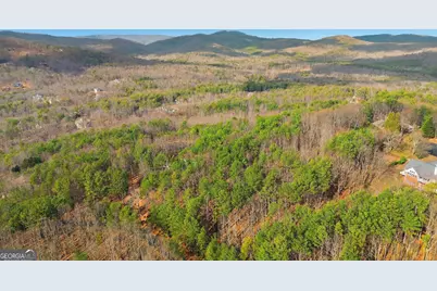 765 Plum Lane #LOT 765, Clarkesville, GA 30523 - Photo 7