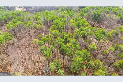 765 Plum Lane #LOT 765, Clarkesville, GA 30523 - Photo 9