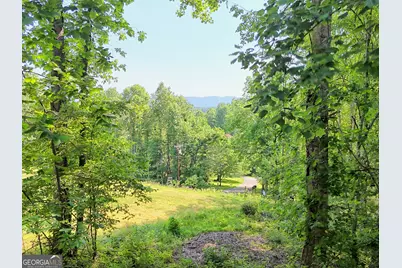 28 Coon Tail Road, Blairsville, GA 30512 - Photo 3