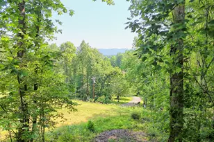 28 Coon Tail Rd, Blairsville, GA 30512 - Photo 3