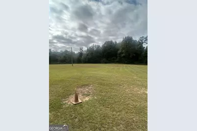 114 McCarthy Road, Buena Vista, GA 31803 - Photo 19