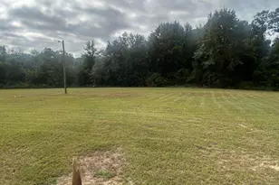 114 McCarthy Rd, Buena Vista, GA 31803 - Photo 19