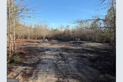 ----- Sr 19, Dublin, GA 31021 - Photo 3