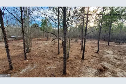 ----- Sr 19, Dublin, GA 31021 - Photo 15