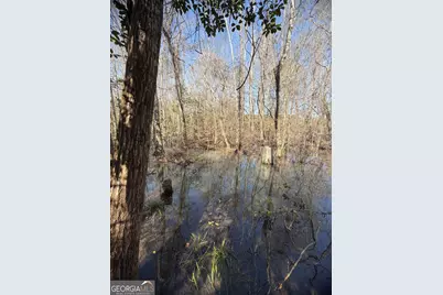 ----- Sr 19, Dublin, GA 31021 - Photo 27