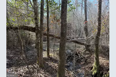 ----- Sr 19, Dublin, GA 31021 - Photo 21