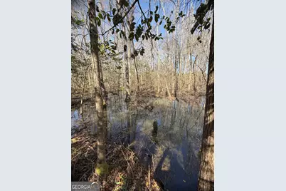 ----- Sr 19, Dublin, GA 31021 - Photo 29