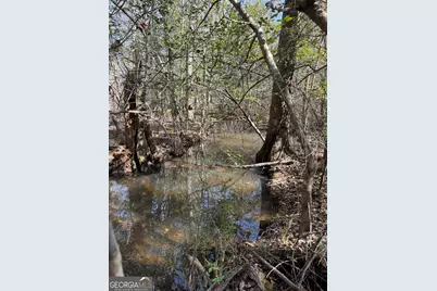 ----- Sr 19, Dublin, GA 31021 - Photo 25
