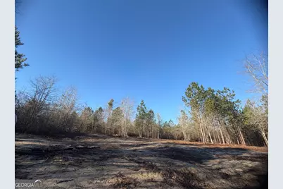 ----- Sr 19, Dublin, GA 31021 - Photo 7