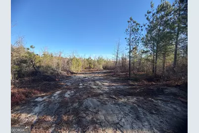 ----- Sr 19, Dublin, GA 31021 - Photo 9